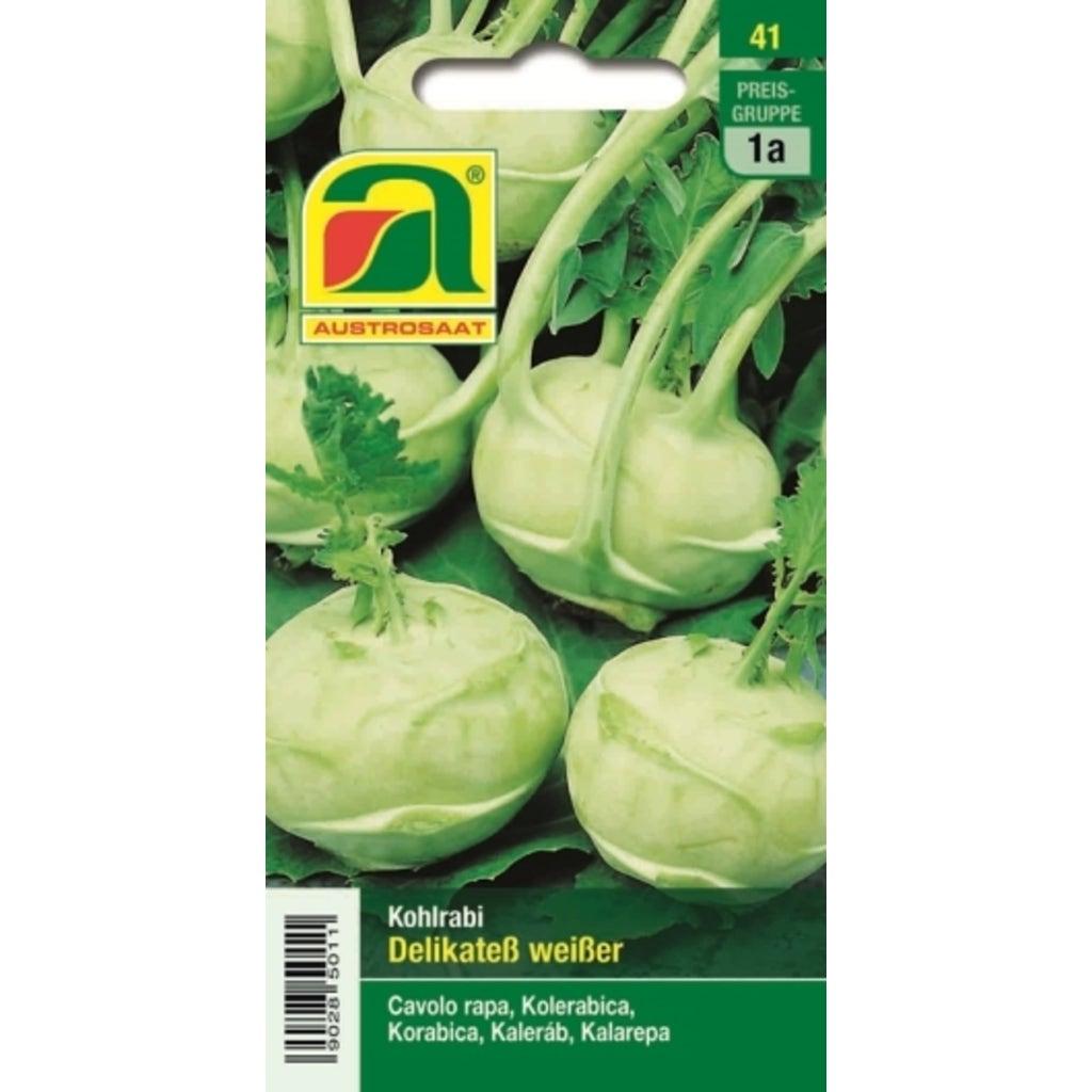 AUSTROSAAT Kohlrabi Delikatess Weißer 1 Packung Bloomling Deutschland