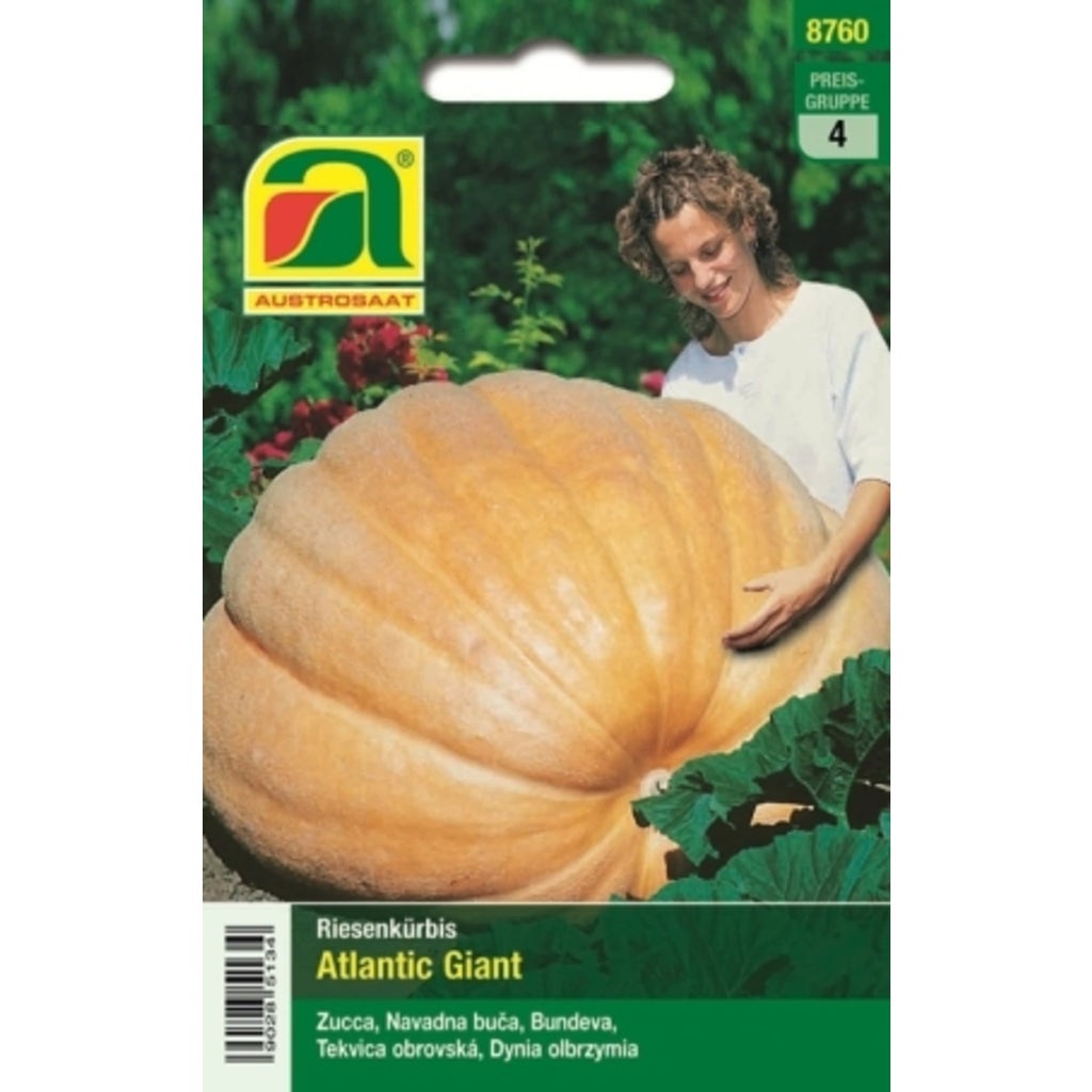 Austrosaat Zucca Gigante Atlantic Giant Confezione Bloomling Italia