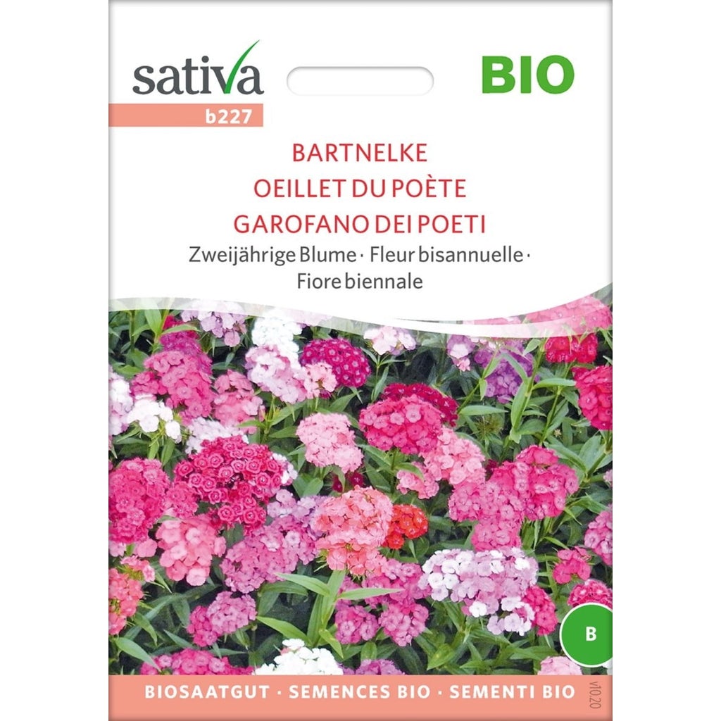 Sativa Bio Zweij Hrige Blume Bartnelke Packung Bloomling Deutschland