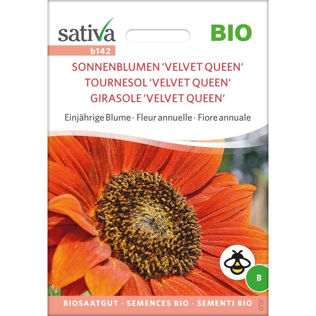 Sativa Tournesol Velvet Queen Bio 1 Sachet Bloomling France