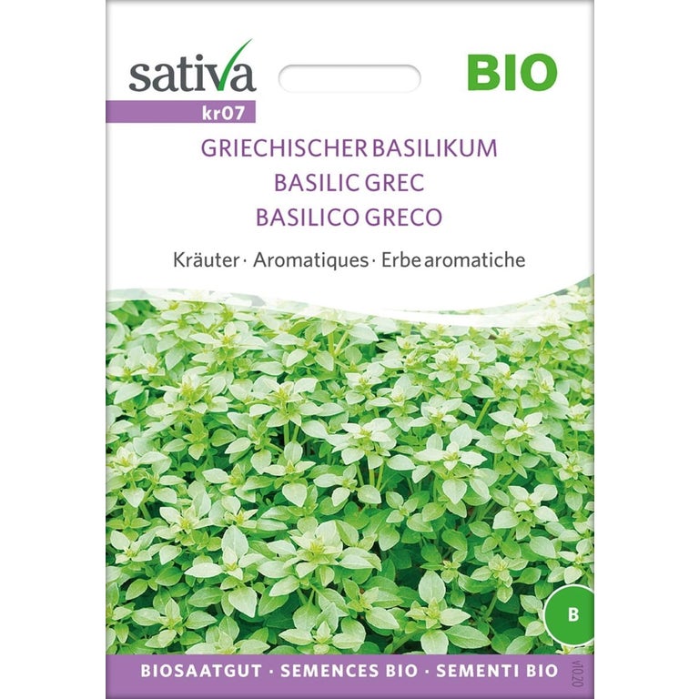 Sativa Organic Greek Basil 1 Package Bloomling International