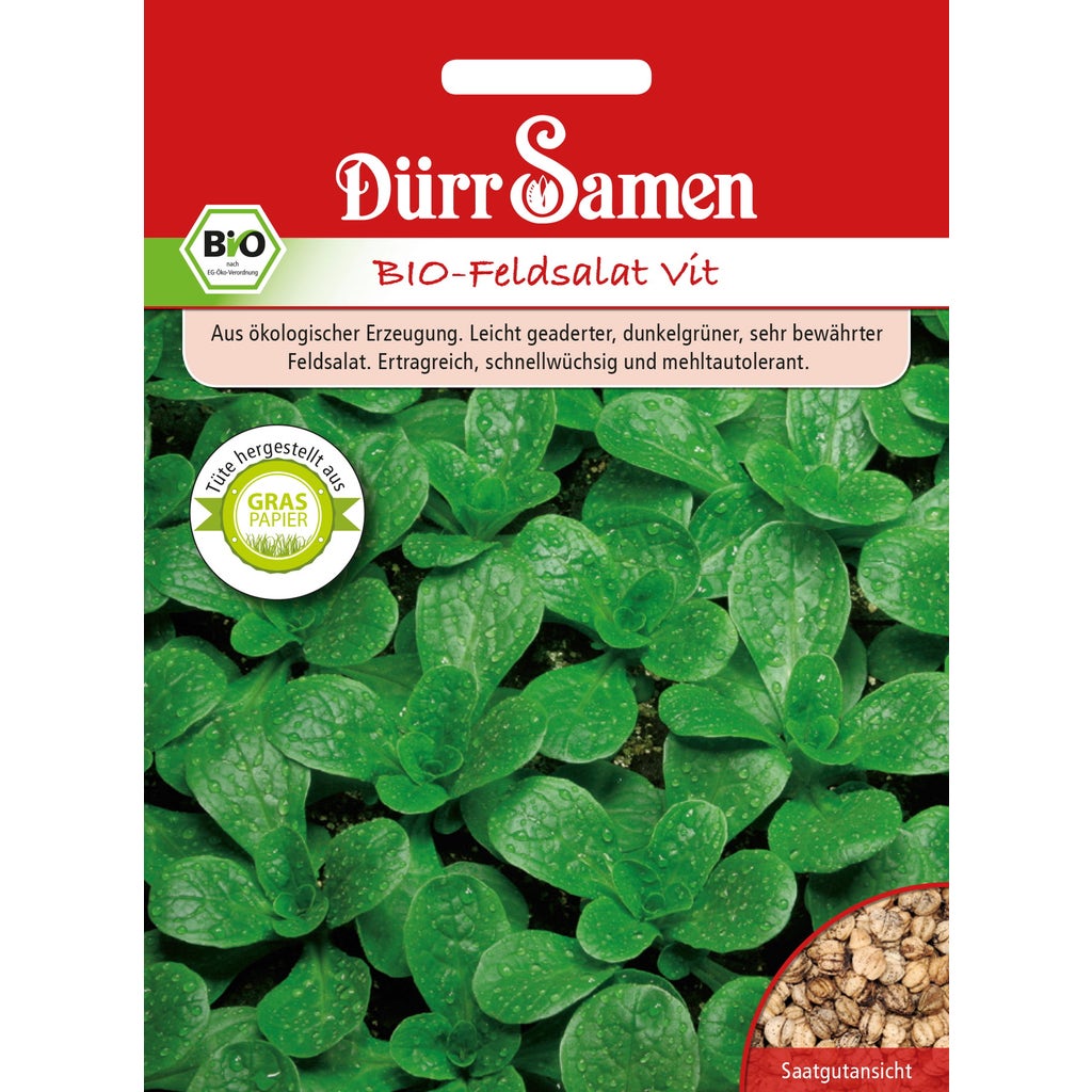 Dürr Samen BIO Feldsalat Vit 1 Packung Bloomling Schweiz