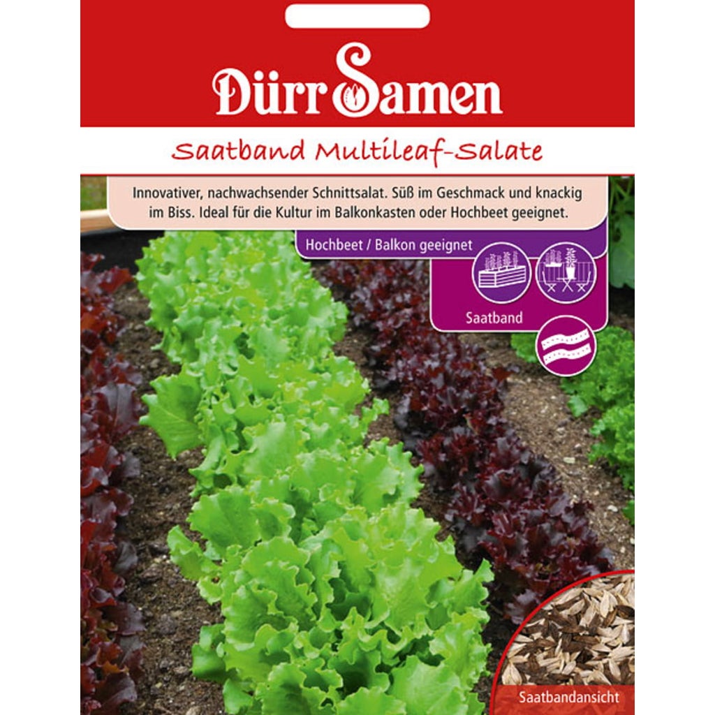 Dürr Samen Multi Leaf Salad for Balconies Seed Band 1 Package