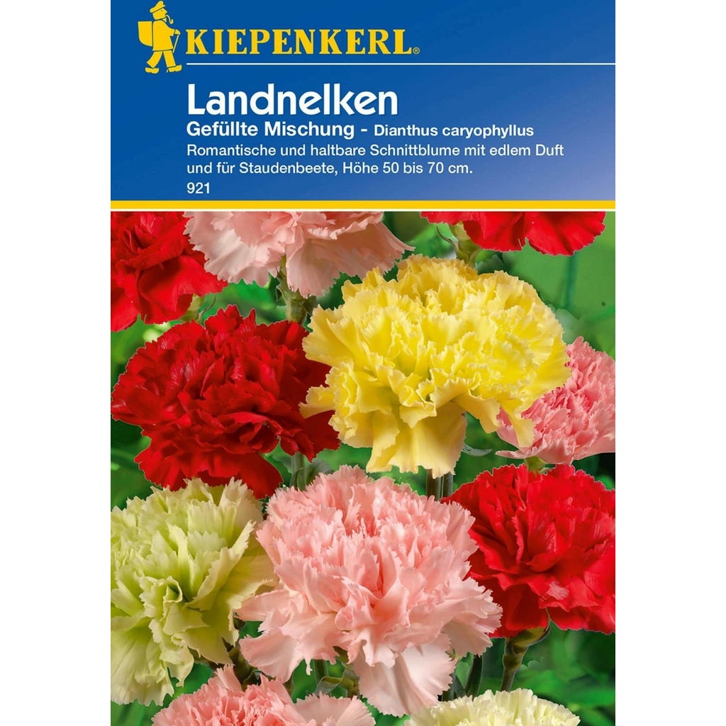 Kiepenkerl Landnelken Gef Llte Mischung Packung Bloomling Schweiz