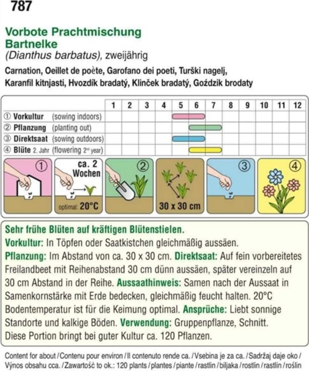 Austrosaat Bartnelken Vorbote Prachtmischung Packung Bloomling