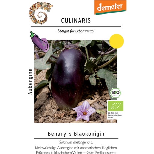 Culinaris Bio Aubergine Benarys Blaukönigin 1 Packung Bloomling