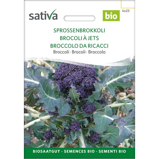 Sativa Biologische Broccoli Broccoli Kiemen Verpakking Bloomling