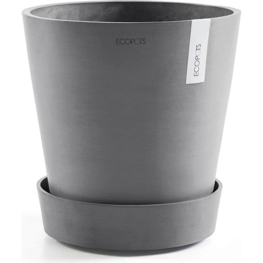 Ecopots Saucer Wheels Grey Bloomling Tienda Online Espa A