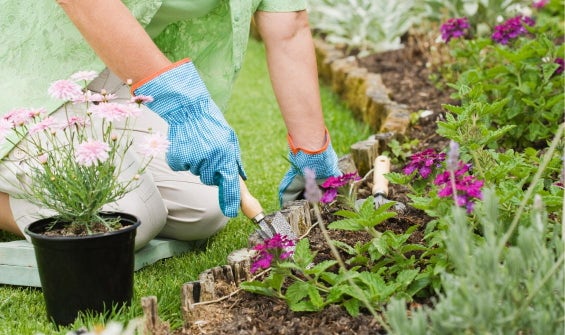 Garden Products on Offer