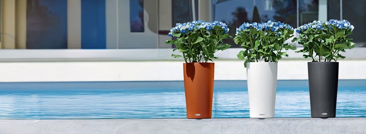 Partir en vacances l'esprit tranquille