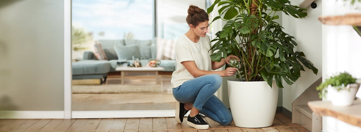 Irrigation for Your Garden & Home