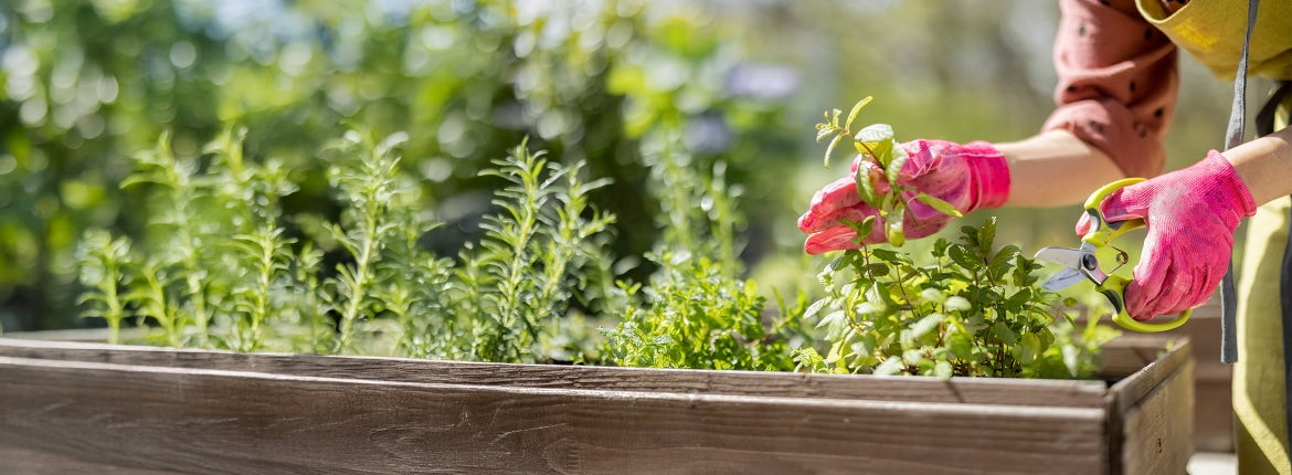 Gartenwerkzeug