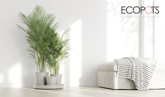 Ecopots für dein Zuhause