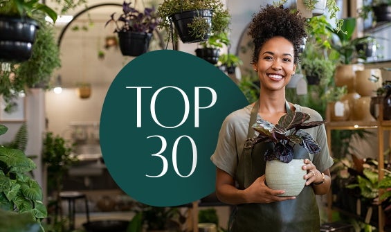 Die TOP 30 Geschenke für Gartenliebhaber