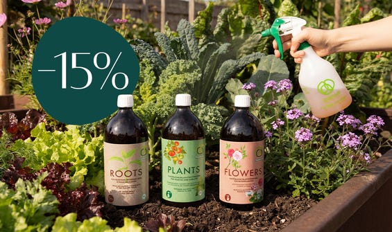 Des plantes fortes, naturellement