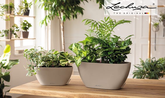 Design-Highlight Lechuza NAVIO!