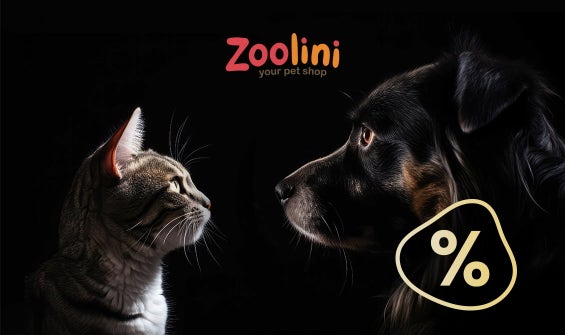 Zoolini bis zu -40%