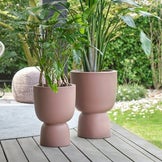 Plant pots