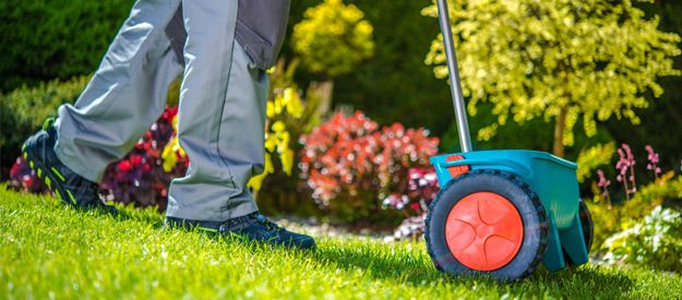 Give Your Lawn a Boost