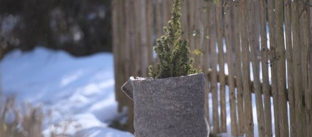 Winterizing Garden Plants & Potted Plants