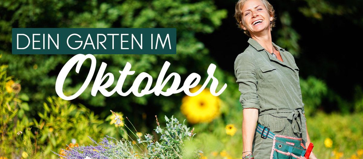Oktober - der beste Monat zum Pflanzen 