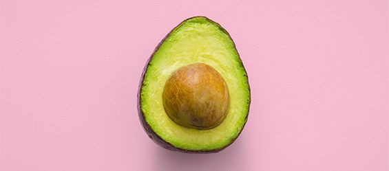 Avocados selbst züchten