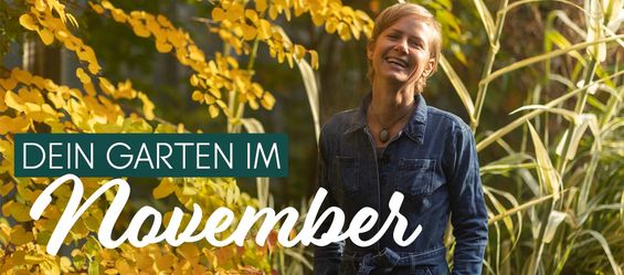 November - den Garten winterfit machen