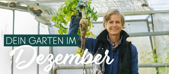 Dezember - die Winterernte ist reif