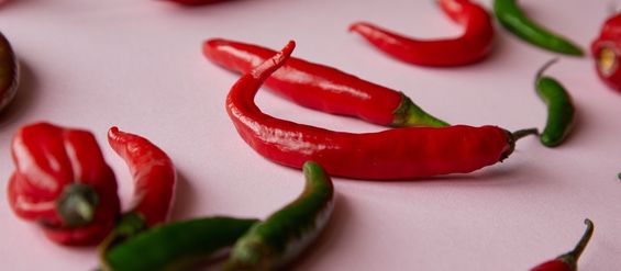 Achtung scharf! So gelingt die Chili-Anzucht