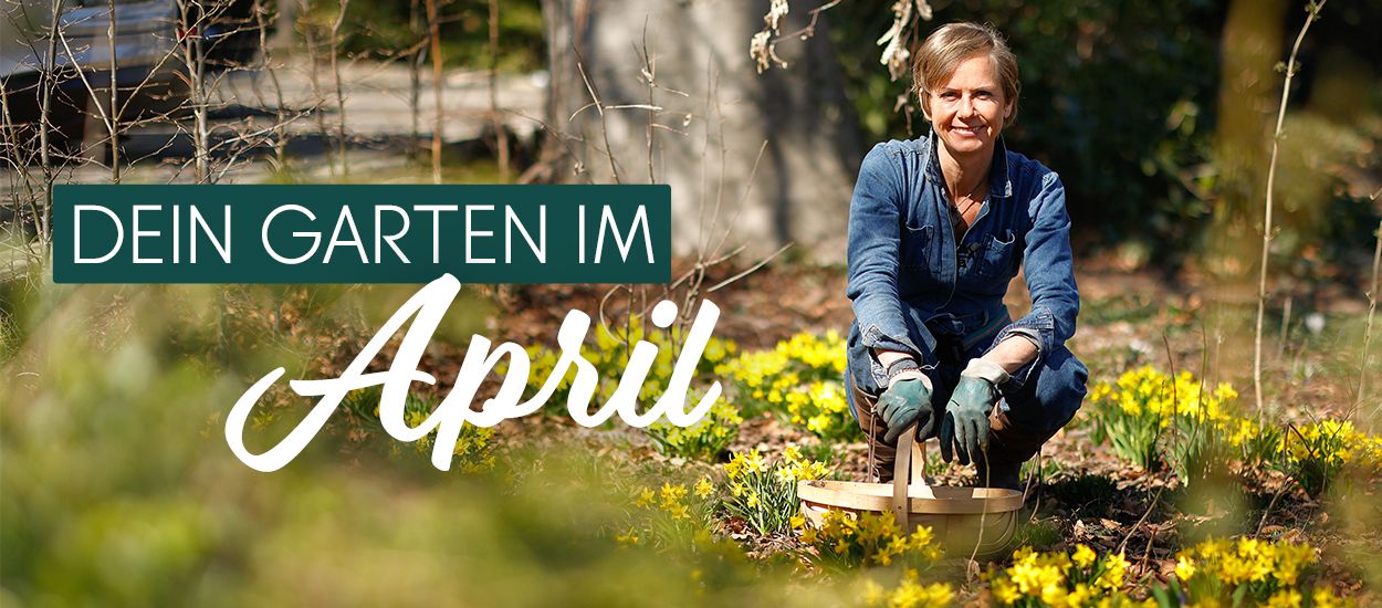 April - ein Monat voller Gartenfreude