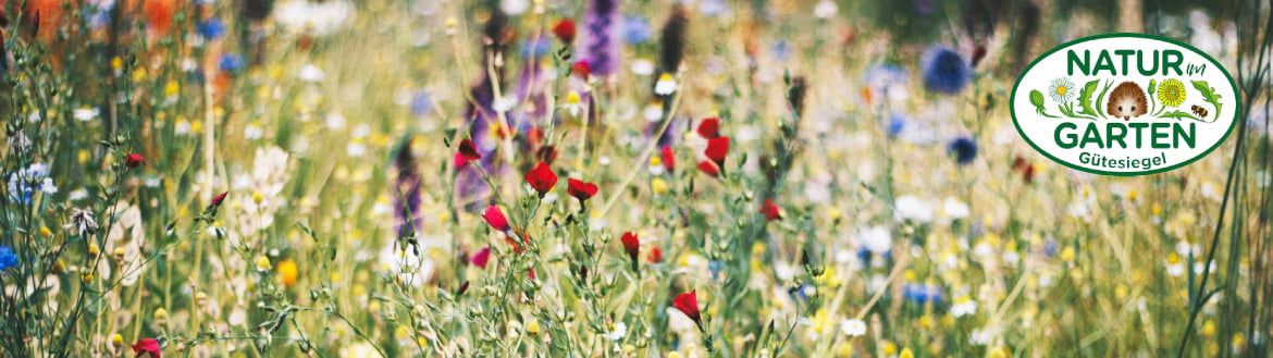 Rund um den Garten / Aktuelle Themen / Natur im Garten