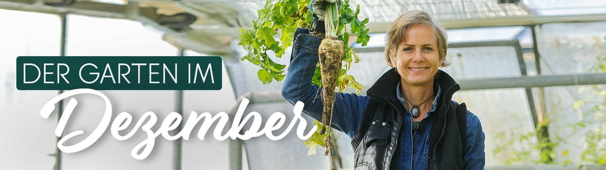 Rund um den Garten / Aktuelle Themen / Dein Garten im Dezember