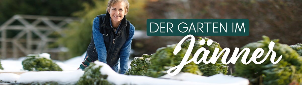 Rund um den Garten / Aktuelle Themen / Dein Garten im Jänner