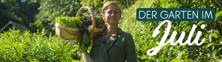 Rund um den Garten / Aktuelle Themen / Dein Garten im Juli