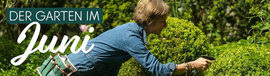 Rund um den Garten / Aktuelle Themen / Dein Garten im Juni