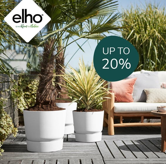 Up To 20% Off elho Pots!