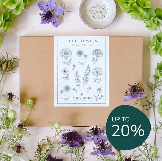 20% Off Popular Gift Ideas!