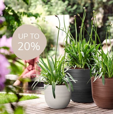 Up to 20% Off Pots & Planters