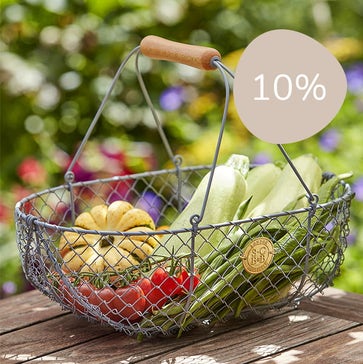 10% Off Garden Decoration