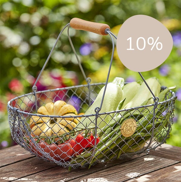 10% auf Gartendekoration