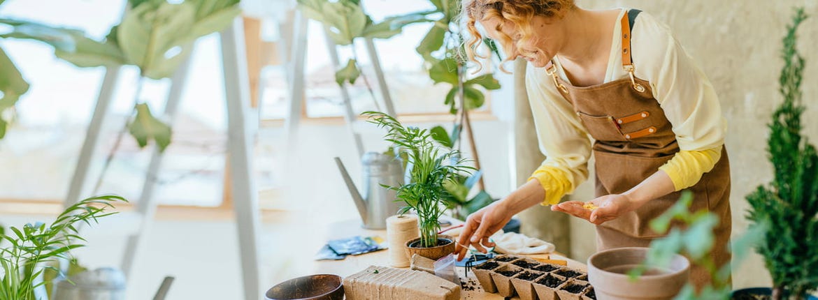 Wszystko do Twojej uprawy