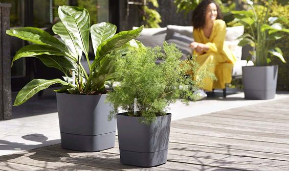 Beautiful Designs for Gardens & Households