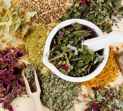 Graines d'herbes médicinales