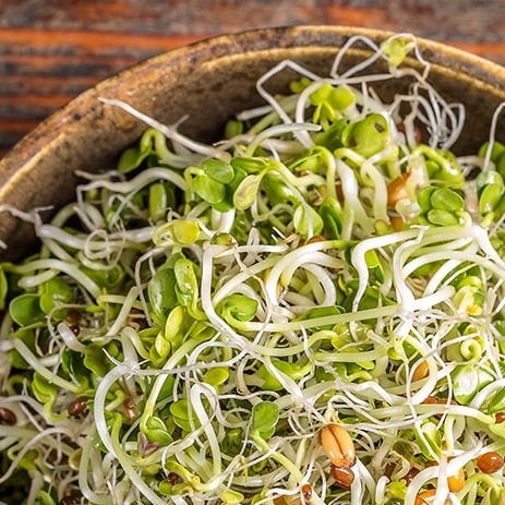 Sale - Sprouts & Microgreens