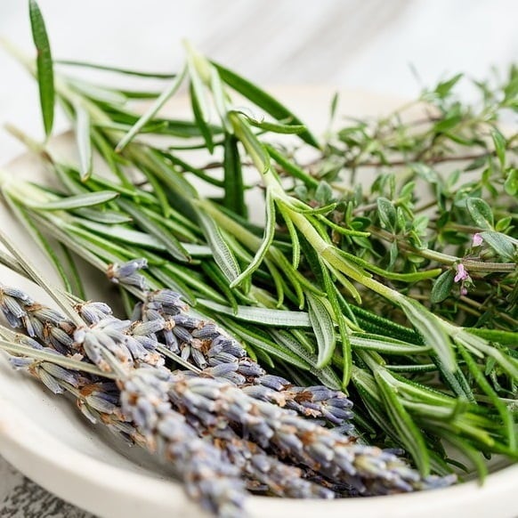 Sale - Herb Seeds
