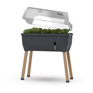 Raised Beds for Balconies, Patios & Small Gardens