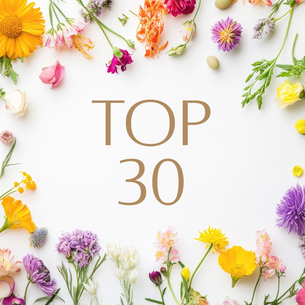 TOP 30 daril na enem mestu