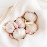 Bulbes d'ail à planter au printemps au potager