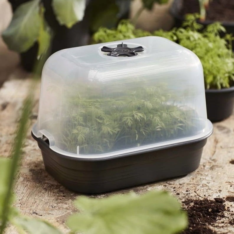 Seed Growing Planters by elho