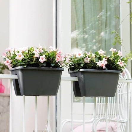 Balcony Planters by elho